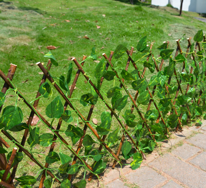 Plant Climb Trellis Extension