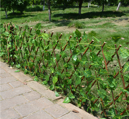 Plant Climb Trellis Extension